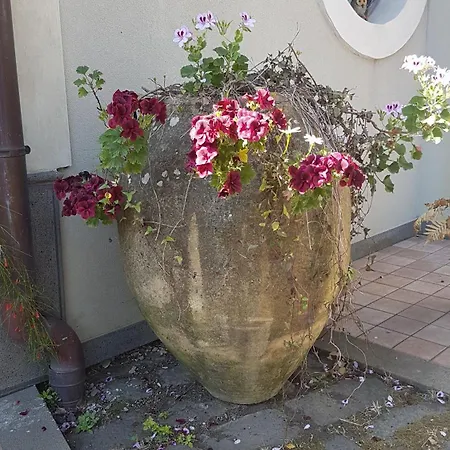Casa Delle Coccole Bed & Breakfast