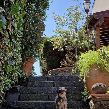 Bed & Breakfast Casa Delle Coccole